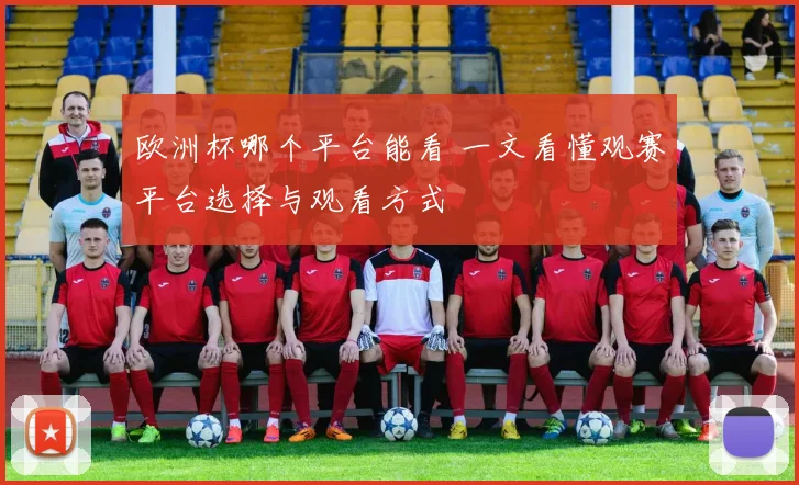欧洲杯哪个平台能看 一文看懂观赛平台选择与观看方式