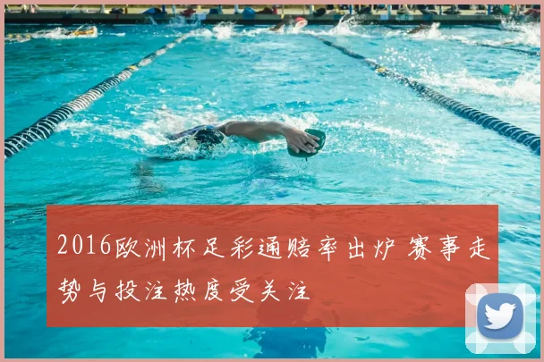 2016欧洲杯足彩通赔率出炉 赛事走势与投注热度受关注